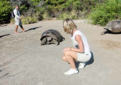 Taking a picture with a tortoise while on a Galapagos Celebrity cruise.