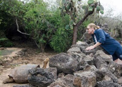 Seeing a tortoise in the Galapagos on a Celebrity cruise.