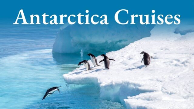 Antarctica Cruises