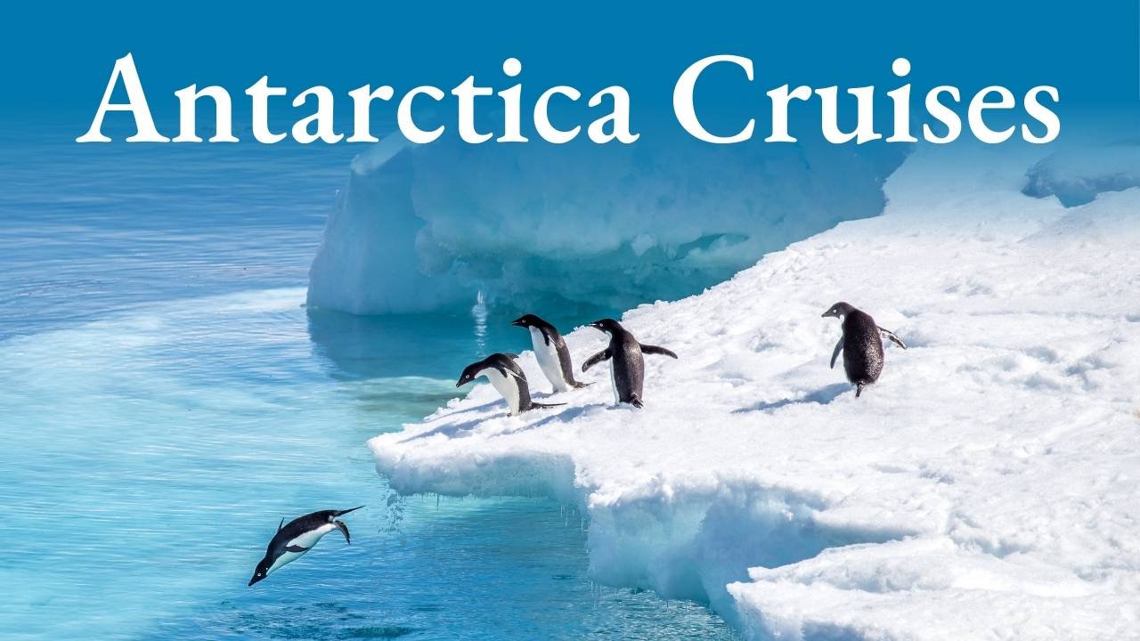 Antarctica Cruises.